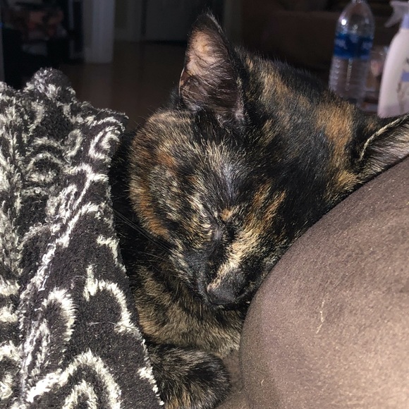 Profile Picture of Ronda Tirabassi (@rtirab) on Poshmark