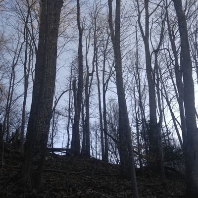 Profile Picture of Mark VanDyke (@vandyke_vandyke) on Twitter