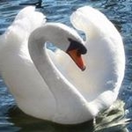 Profile Picture of clotilde hernandez flores (@clotildehernandezflores) on Instagram