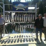 Profile Picture of Tony Kimball (@kimballtony) on Instagram