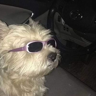 Profile Picture of 𝐚𝐥𝐞𝐱𝐚𝐧𝐝𝐫𝐚 𝐰𝐡𝐞𝐞𝐥𝐞𝐫 (@Alexa63904054) on Twitter