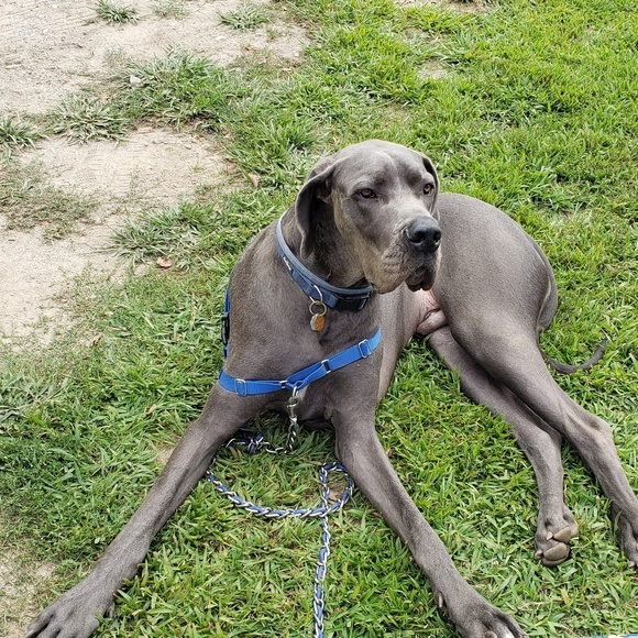 Michael Langone - Poshmark Profile Picture of Michael Langone (@mtl118812) on Poshmark