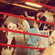 Profile Picture of Jim Gavin (@jimgavin8669) on Youtube