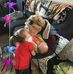 Profile Picture of Diane Mcginnis (@diane.mcginnis.9461) on Facebook