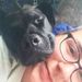 Profile Picture of Paige Shaffer (@pshafff) on Pinterest