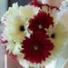 Profile Picture of Vickis Flowers (@vickisflowers) on Pinterest