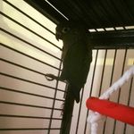 Profile Picture of Kyle Slade (@kyleslade07) on Instagram