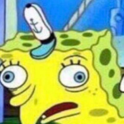 Shaylee Stephenson - Twitter Profile Picture of Shaylee Stephenson (@ShayleeStephen1) on Twitter