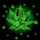 Profile Picture of Matt Truett (@Sut_Mig69) on Twitter