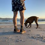 Profile Picture of john darcey (@johndarceytasmania) on Instagram