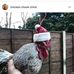 Profile Picture of Hailey Shea Bauer (@dolly.glowacki.739) on Facebook