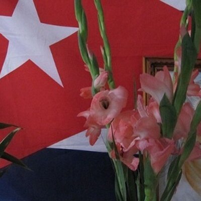 Profile Picture of LAIDA ARCIA CARRO (@adial1949) on Twitter