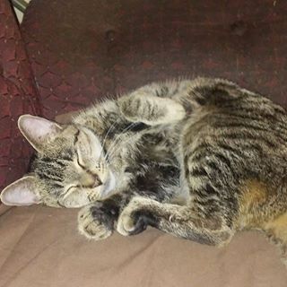 Profile Picture of Ed Thornton (@ed.thornton.501) on Facebook