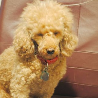 Profile Picture of Gordon Vine (@gordon.vine.39) on Facebook