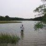 Profile Picture of Simon Carruthers (@phatfish50) on Instagram