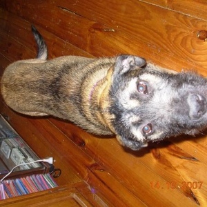 Profile Picture of Andrew Gilboy (@andyyoblig01) on Myspace