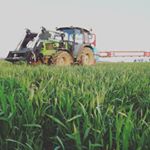 Profile Picture of Wiesław Dolata (@rolnik_zzamorza) on Instagram