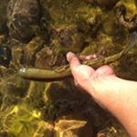 Profile Picture of Jason Swanson (@jason.swanson.906) on Instagram