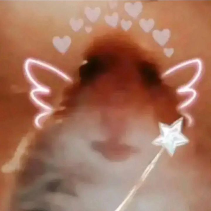 Profile Picture of ROBYNS BEAUTIFUL ☺️ 💗 (@robynxsilverdump) on Tiktok