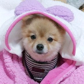 Profile Picture of 오복복 (@choihyunhee10) on Tiktok