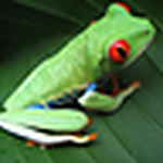 Profile Picture of Denise St-Pierre (@30e de Denise et Eddy) on Flickr