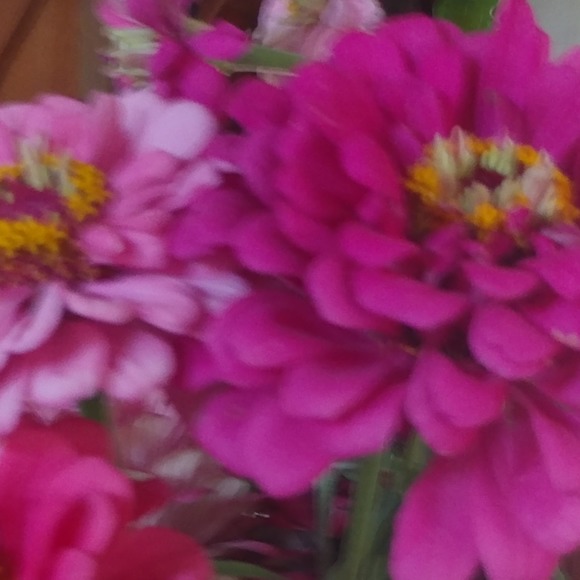 Profile Picture of Mary Vanduyne (@1oscarwild) on Poshmark