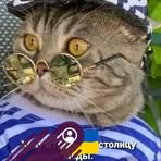 Profile Picture of Alex Perfect (@alex.perfect.50) on Facebook