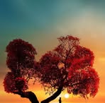 Profile Picture of 惠雪 (@hui.xue.558378) on Facebook