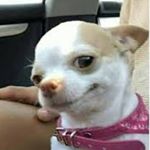 Profile Picture of lucia ibañez (@luci.i.a) on Instagram