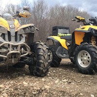 Profile Picture of Lisa Teves (@lisa-teves-1) on Quora