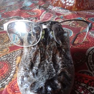 Profile Picture of Tom Mcarthur (@tom.mcarthur.98) on Facebook