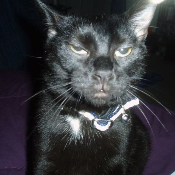 Profile Picture of Penny Campbell (@penc_98) on Poshmark