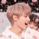 Profile Picture of dawn! ♡ (@felixsrose) on Instagram