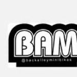 Profile Picture of Back Alley Mini Bikes B.A.M (@backallymini_bikes) on Instagram