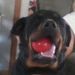 Profile Picture of kirk chamberlain (@chamberkirk) on Pinterest