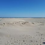 Profile Picture of Daniela Beggio (@danielabeggio) on Instagram