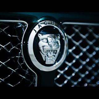 Profile Picture of Sterlin Allen (@sterlin.allen.7) on Facebook