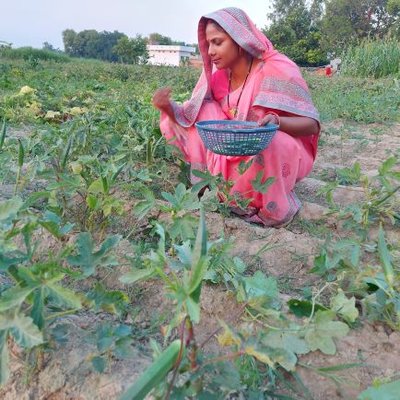 Profile Picture of Abha Patel (@AbhaPat97010366) on Twitter