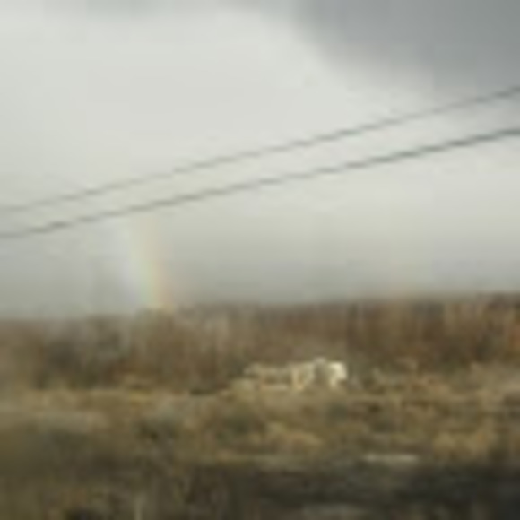 Profile Picture of Alvita Devale (@albitadevale) on Poshmark