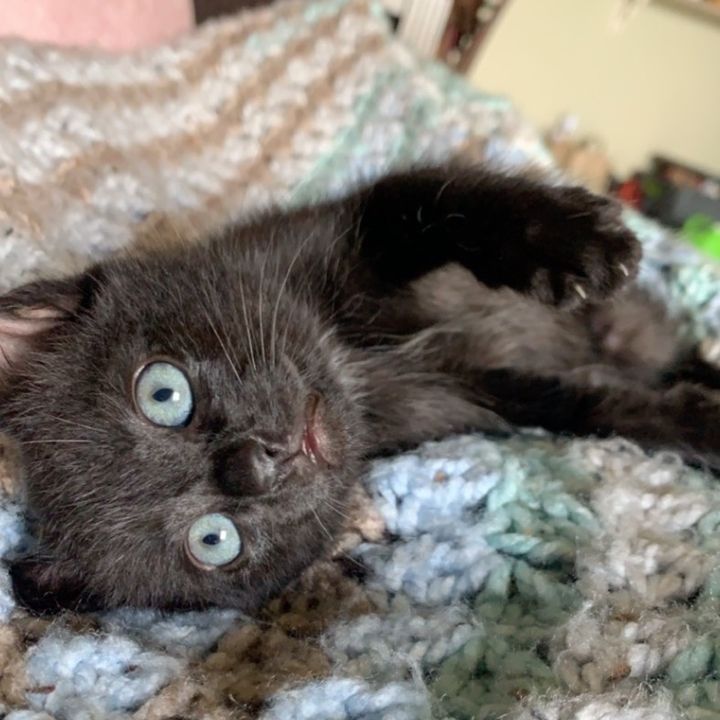 Profile Picture of Winston James (@mrwinstonjames) on Tiktok