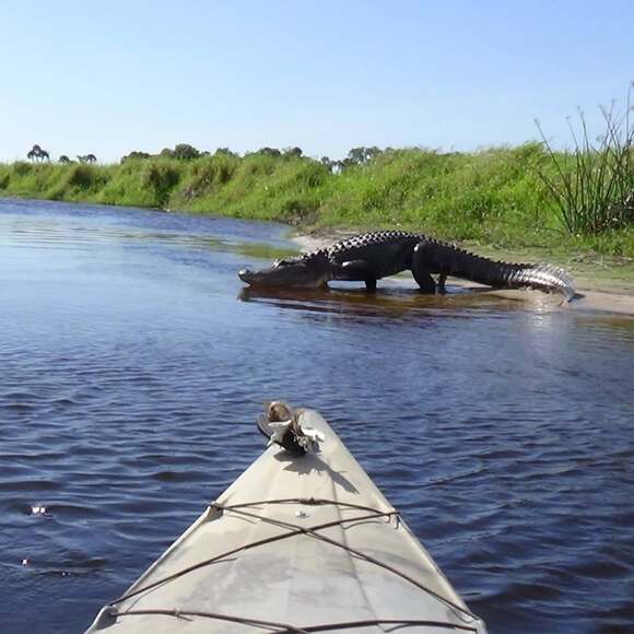 Profile Picture of Kenneth Carmichael (@kennethcarmi110) on Poshmark