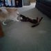 Profile Picture of Cindy Trosclair (@cindy.trosclair.9809) on Facebook