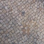 Profile Picture of Peter Lembo (@lembopeter) on Instagram