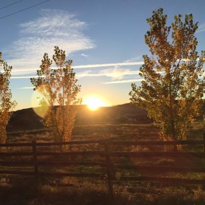 Profile Picture of Robert Hogan (@RobertHogan) on Twitter