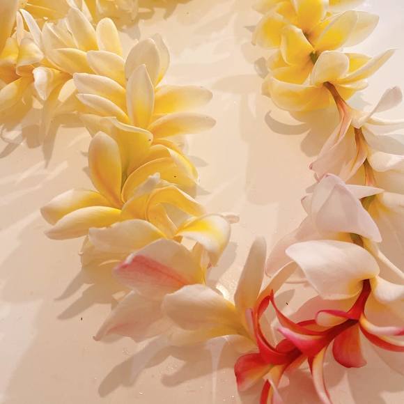 Profile Picture of Masami Kimura (@masamikimura) on Poshmark