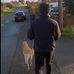 Profile Picture of Ivan Tindall (@ivan.tindall.10) on Facebook