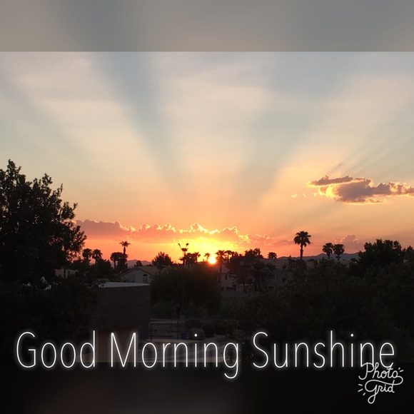 Jo Leon - Poshmark Profile Picture of Jo Leon (@lv2az17) on Poshmark