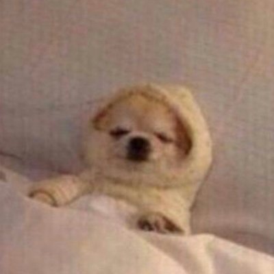 Profile Picture of Bella Zhang (@BellaZh58037054) on Twitter