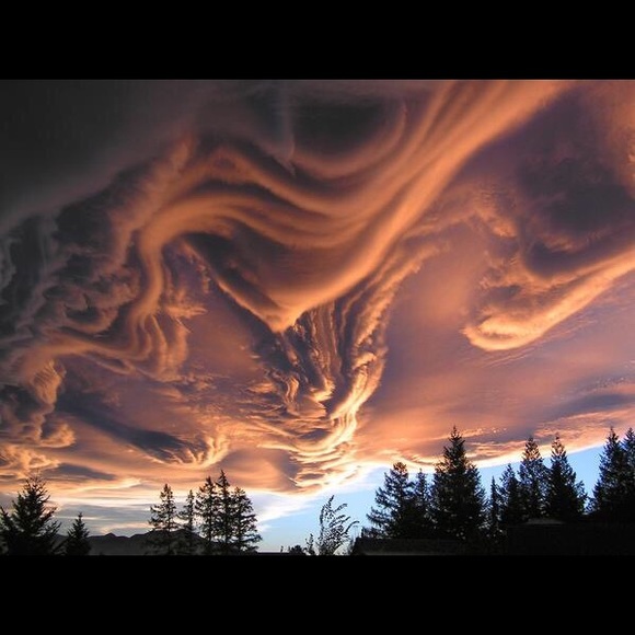 Profile Picture of Lala Shiekh (@lalashan23) on Poshmark