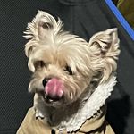 Profile Picture of Travis Saraglaus (@munterhitch) on Instagram